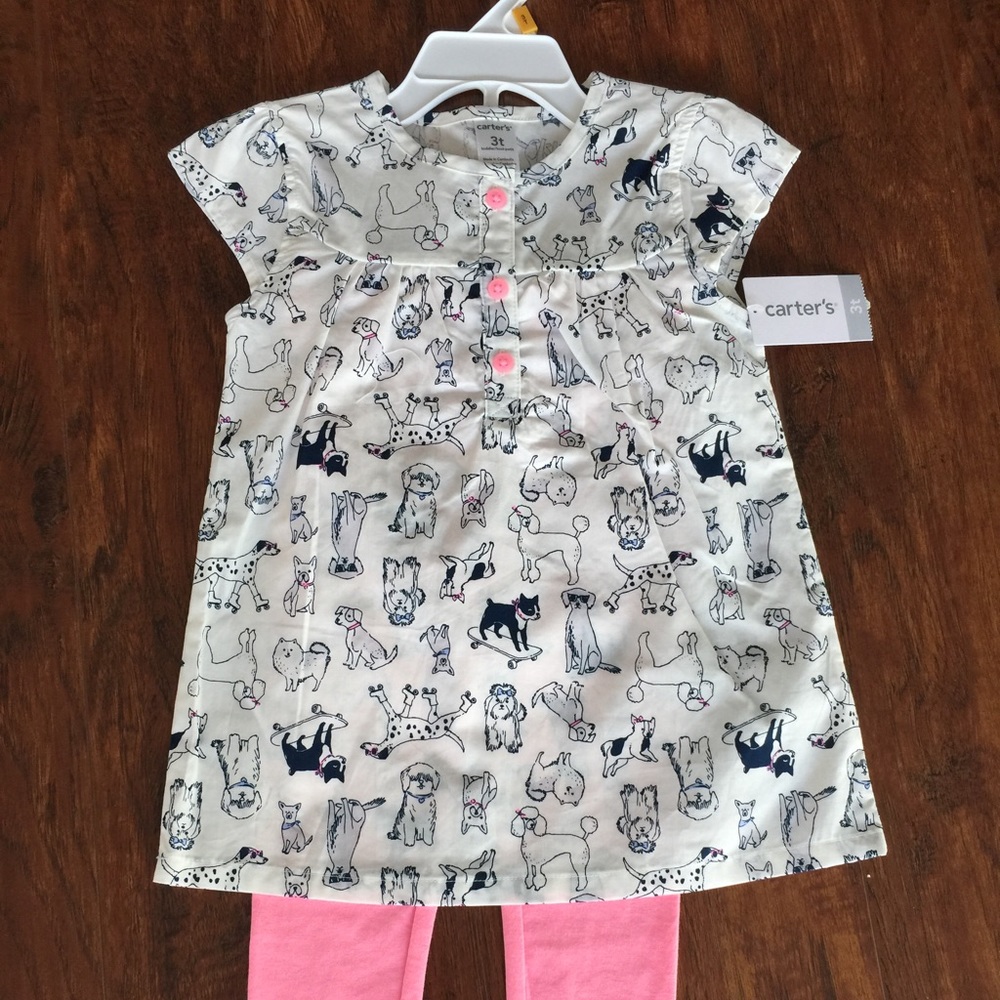 Carter's outfit