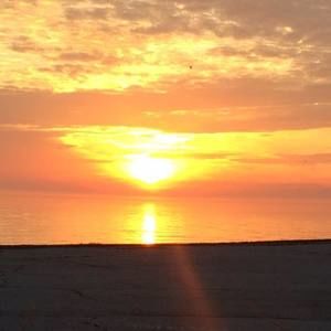 Meet your Posher, Connie