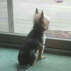 Meet your Posher, Shari