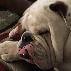 Meet your Posher, Donna