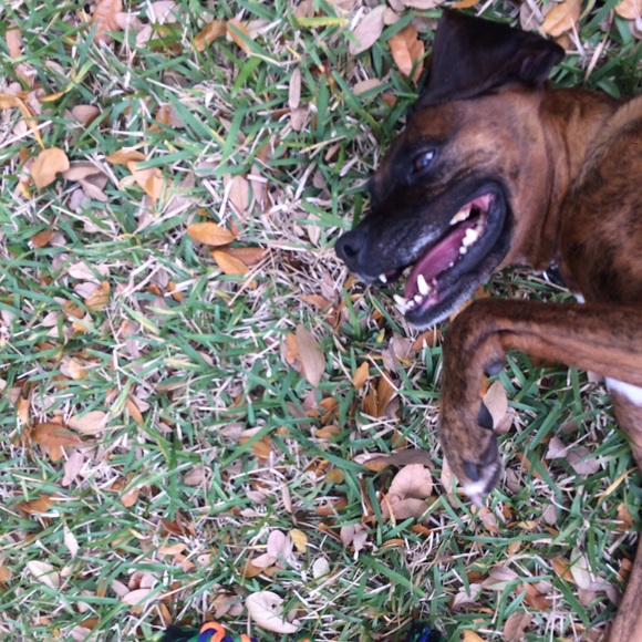 Marisqwksa! - Picture 3 of 5