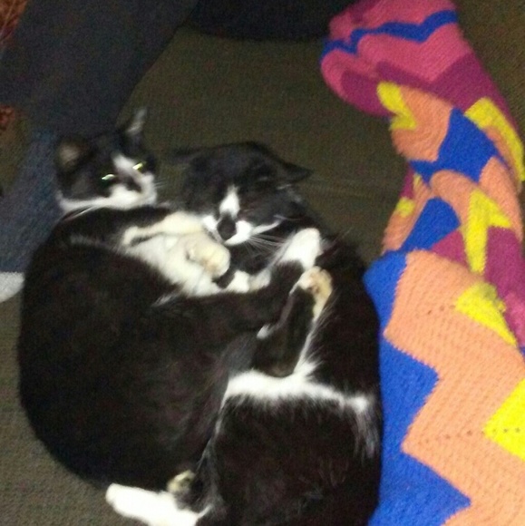 Meet your Posher, Kemberly - Picture 5 of 10