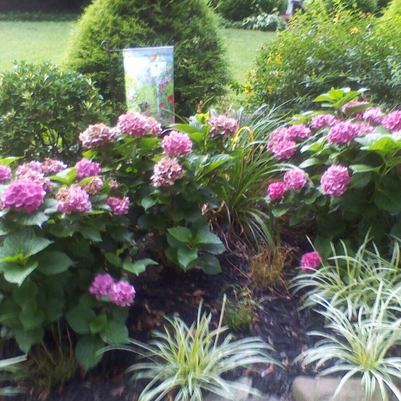 Meet your Posher, Kemberly - Picture 6 of 10