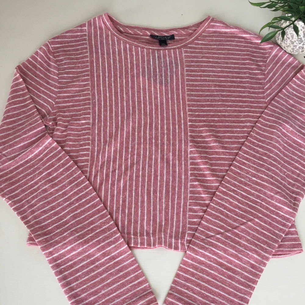 REDUCED Top Shop Striped Crop Top