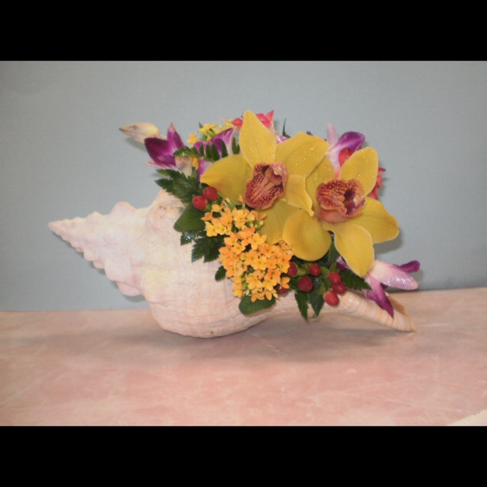 Meet your Posher, Colleen