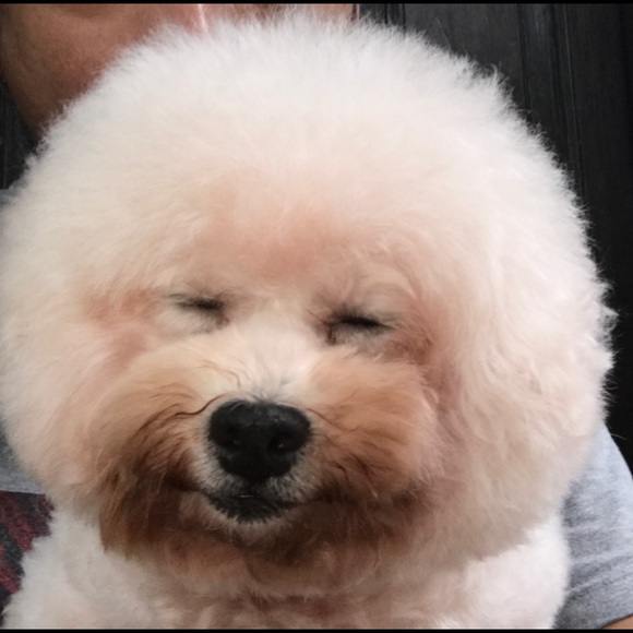 Meet your Posher, Maria - Picture 1 of 1