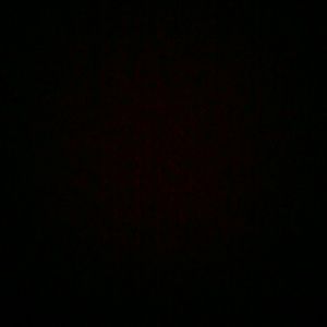 Meet your Posher, Calissia