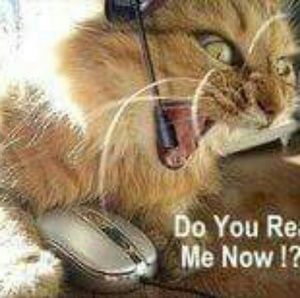 Meet your Posher, Alisha