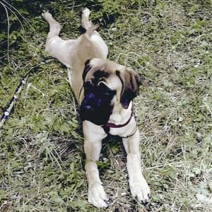 Meet your Posher, Jenifer