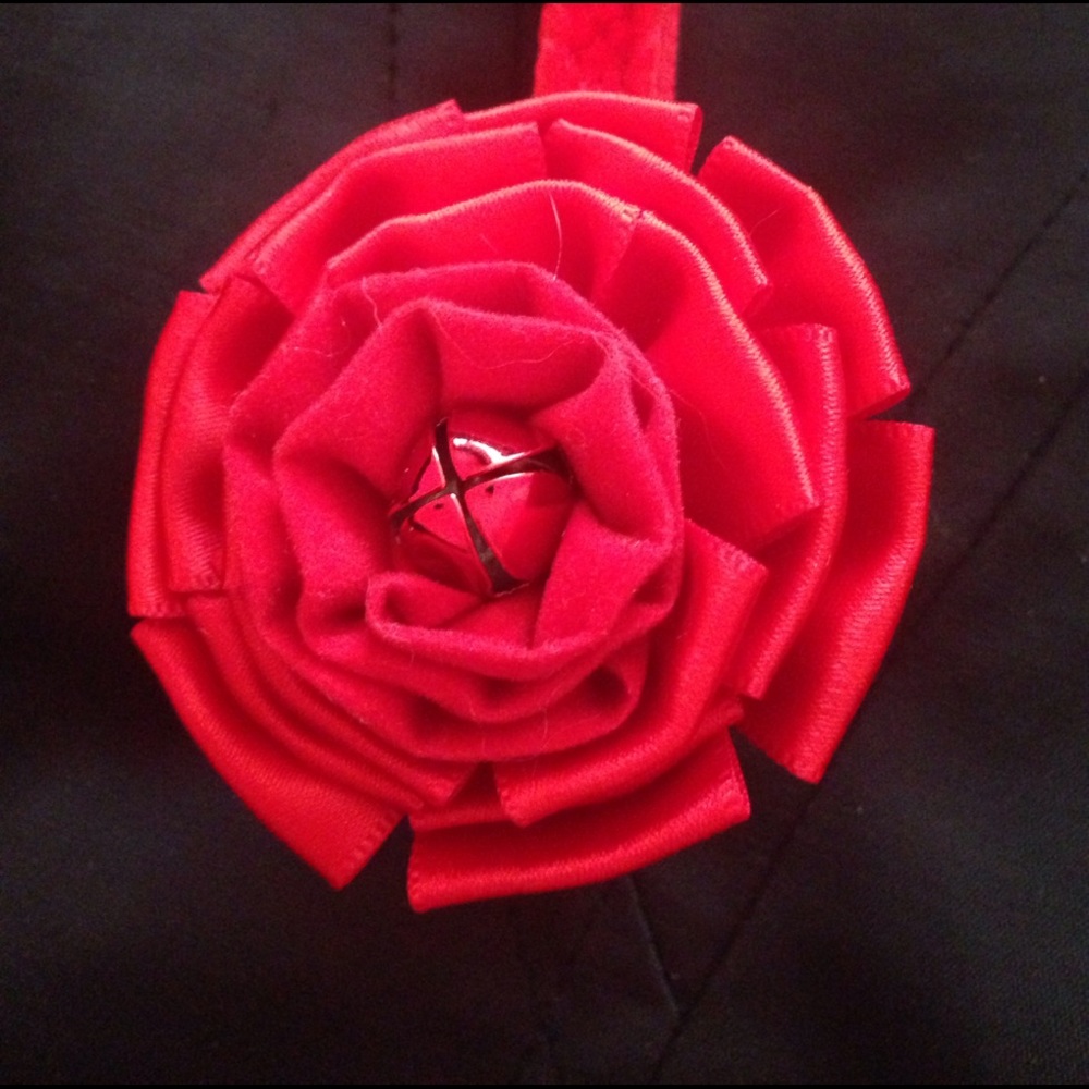Dog/Cat Collar