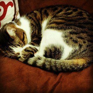 Meet your Posher, Denise