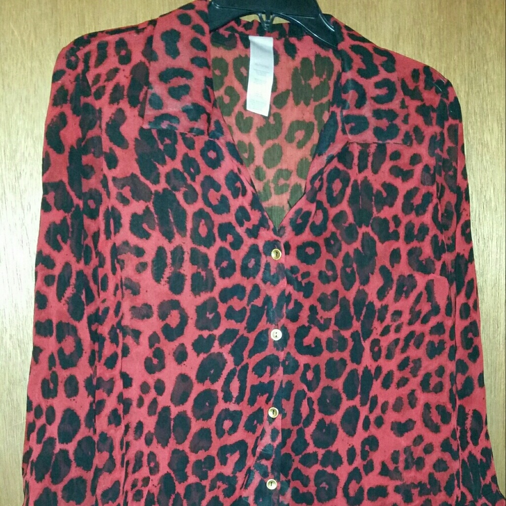 Nwot beautiful sheer blouse