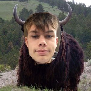 Meet your Posher, Will