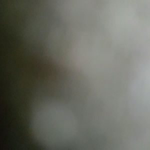 Meet your Posher, Nina