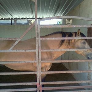 Meet your Posher, William