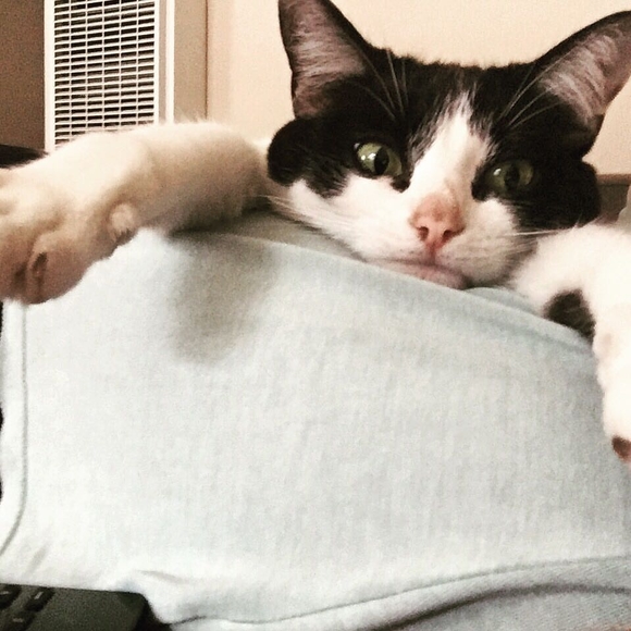 Meet your Posher, Tallin - Picture 1 of 1