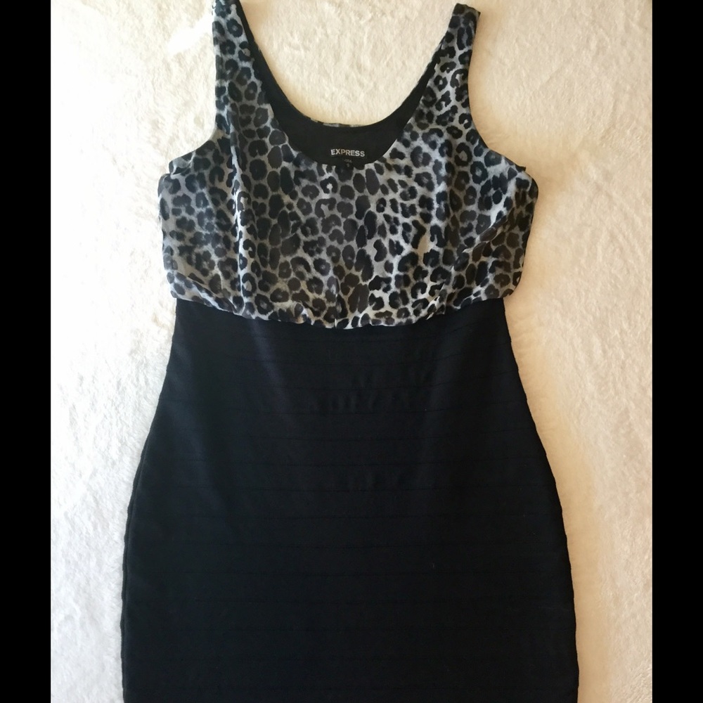 Express Bodycon Dress
