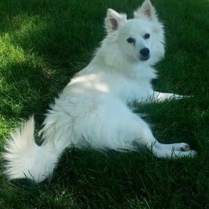 Meet your Posher, Mindy