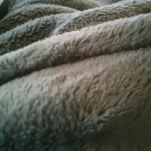 Meet your Posher, Darshea