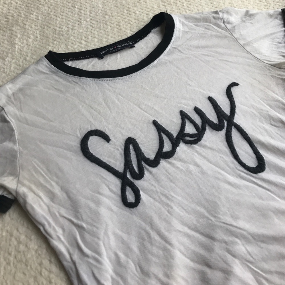 Sassy Brandy Melville crop top