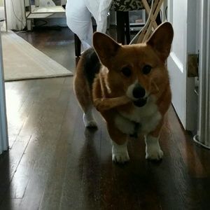 Meet your Posher, Kathie