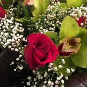 Meet your Posher, Nina