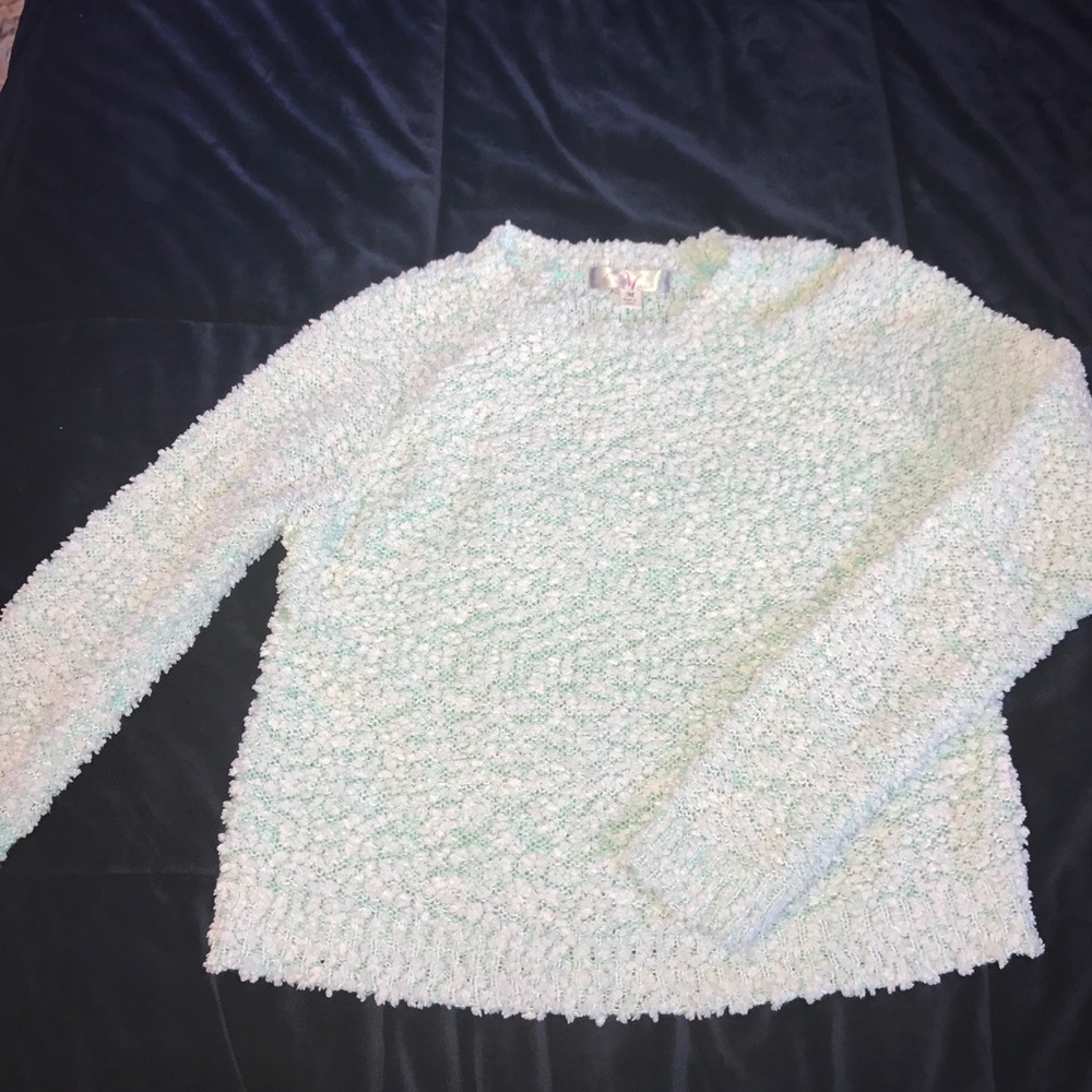 Mint green light cropped sweater