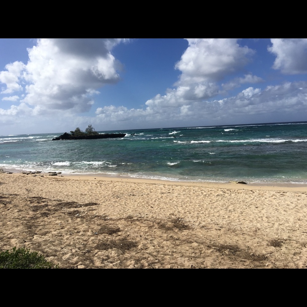 Meet your Posher, Mari