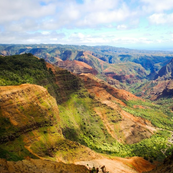 Meet your Posher, Kaitlin - Picture 1 of 1