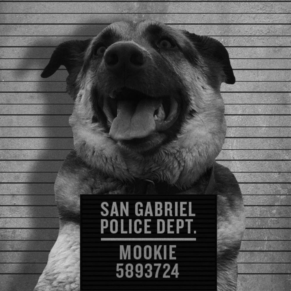 Meet your Posher, Billy