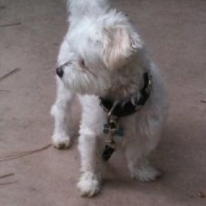 Meet your Posher, Marsha