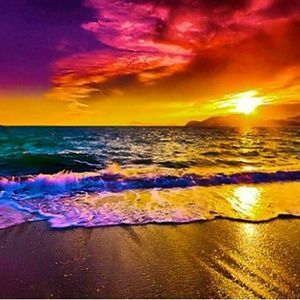 Meet your Posher, Daniela