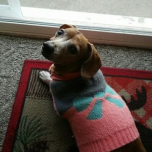 Meet your Posher, Kris