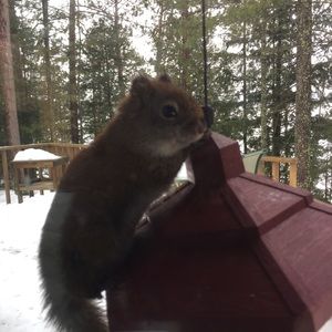 Meet your Posher, Kari