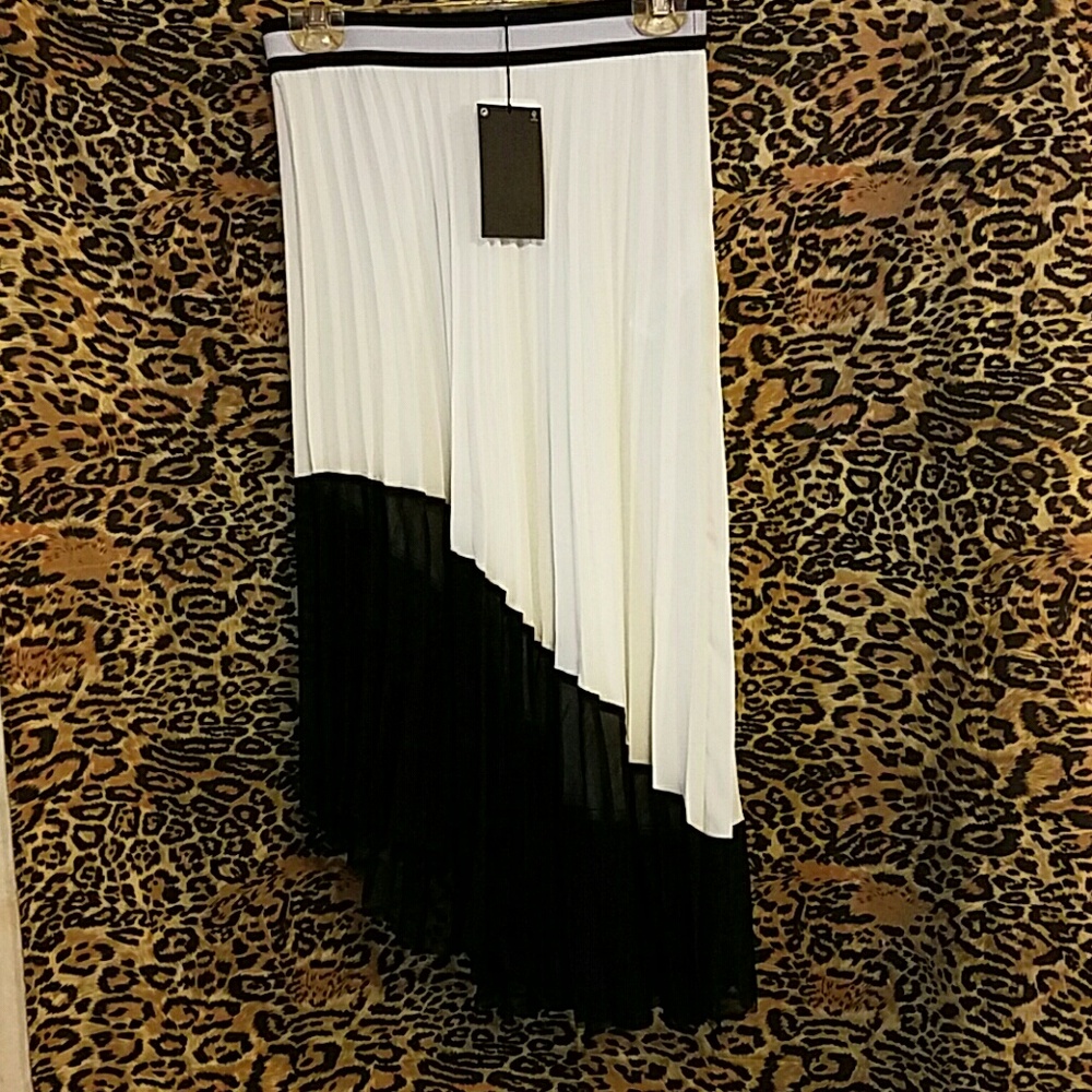 Asymmetrical pleated semi sheer midi/maxi skirt