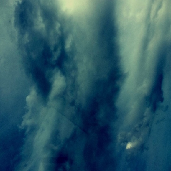 Meet your Posher, Peyton - Picture 1 of 1