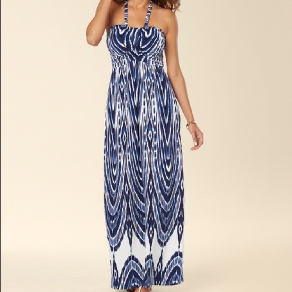 Blue and White Maxi Dress