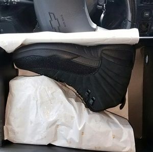 Jordan 12 ovo size 10