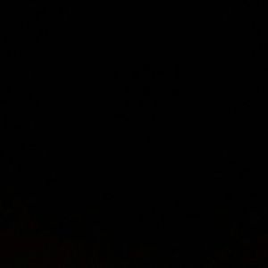 Meet your Posher, Genesis