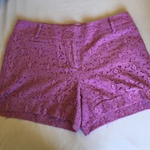 Loft lace shorts