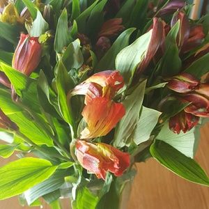 Meet your Posher, Christine