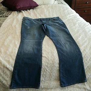 Women Baby Boot Gap Jeans
