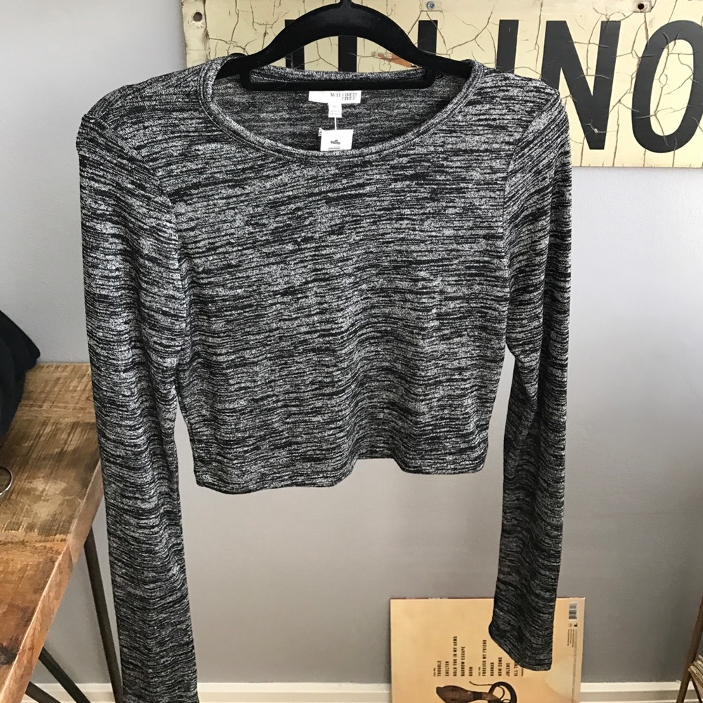 Wilfred Free Dark Gray Long Sleeve Crop Top