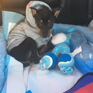 Meet your Posher, Marlene