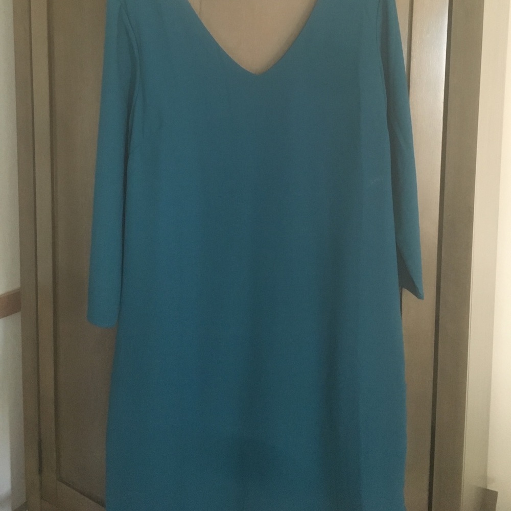 Dress or long shirt dress!