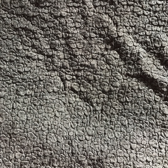 Black Top - Picture 4 of 4