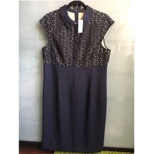 NWT Ann Taylor Navy/beige dress, size 14
