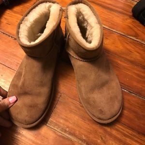 short chestnut uggs! No stains or tears !
