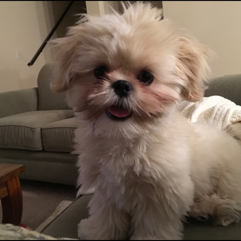 Meet your Posher, Colleen