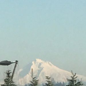 Meet your Posher, Leonardo